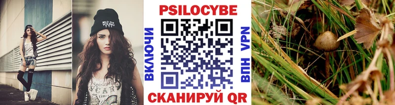 Псилоцибиновые грибы Psilocybe  darknet как зайти  Новодвинск 