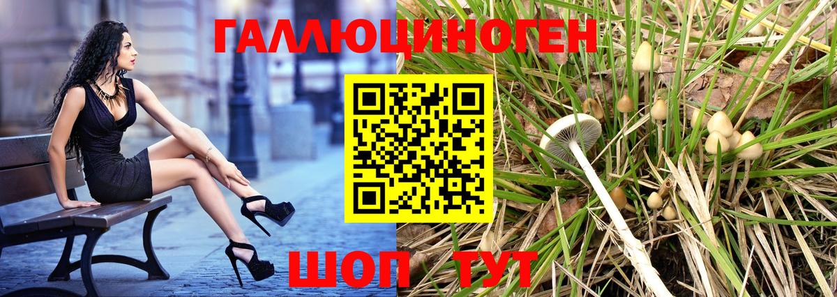 Галлюциногенные грибы Cubensis  Псилоцибиновые грибы Cubensis  Новодвинск  Вход с VPN 