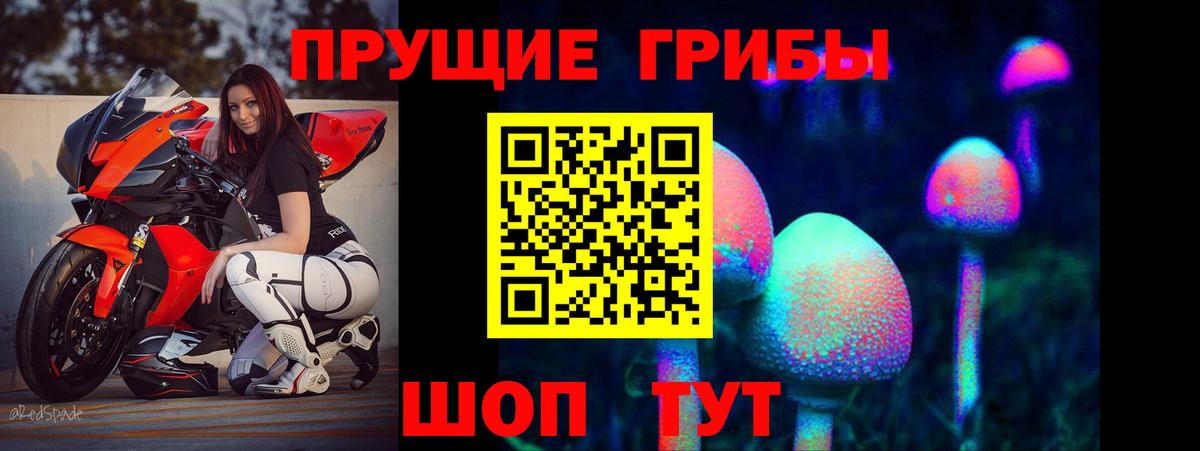 Псилоцибиновые грибы мицелий Новодвинск